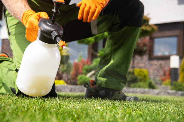 Reliable Vernal, UT Pest Control Solutions